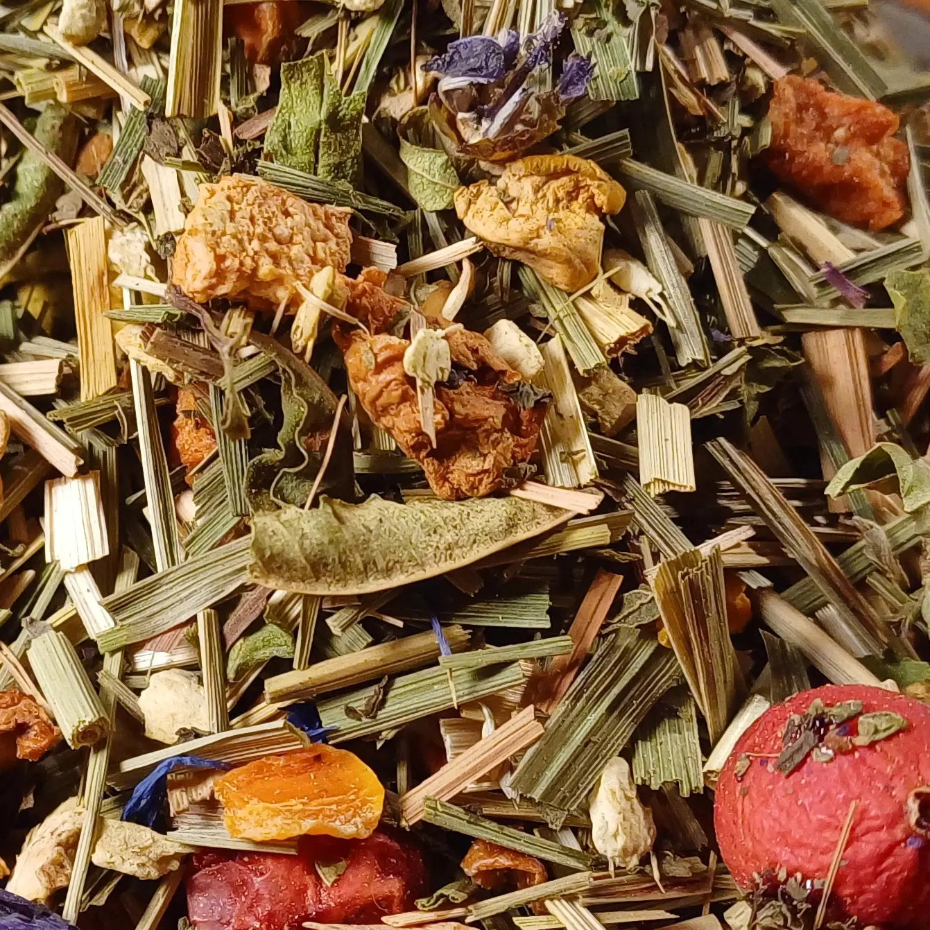 Tisane Magic Moon BIO Thés & Epices Bio