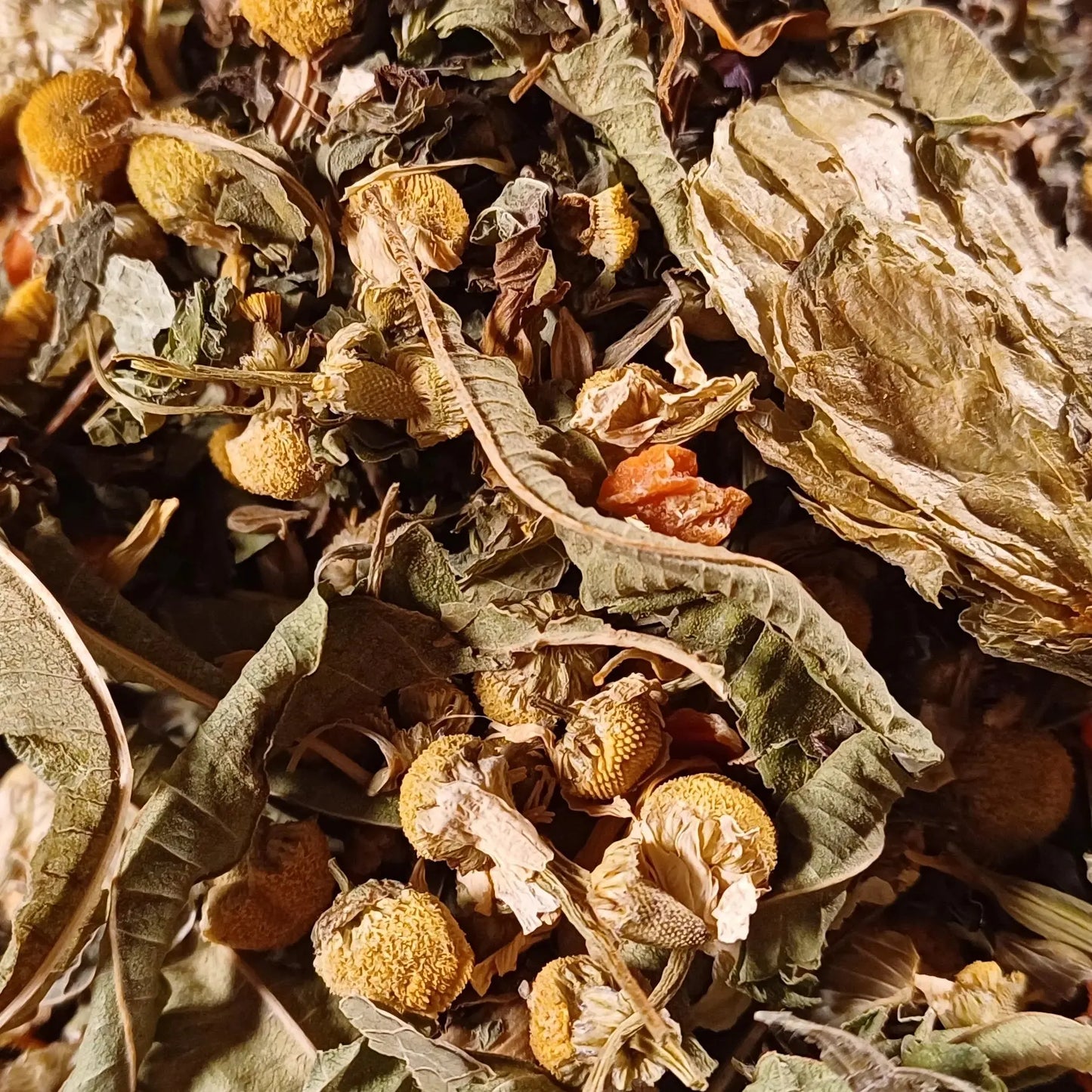 Tisane digestive BIO Thés & Epices Bio