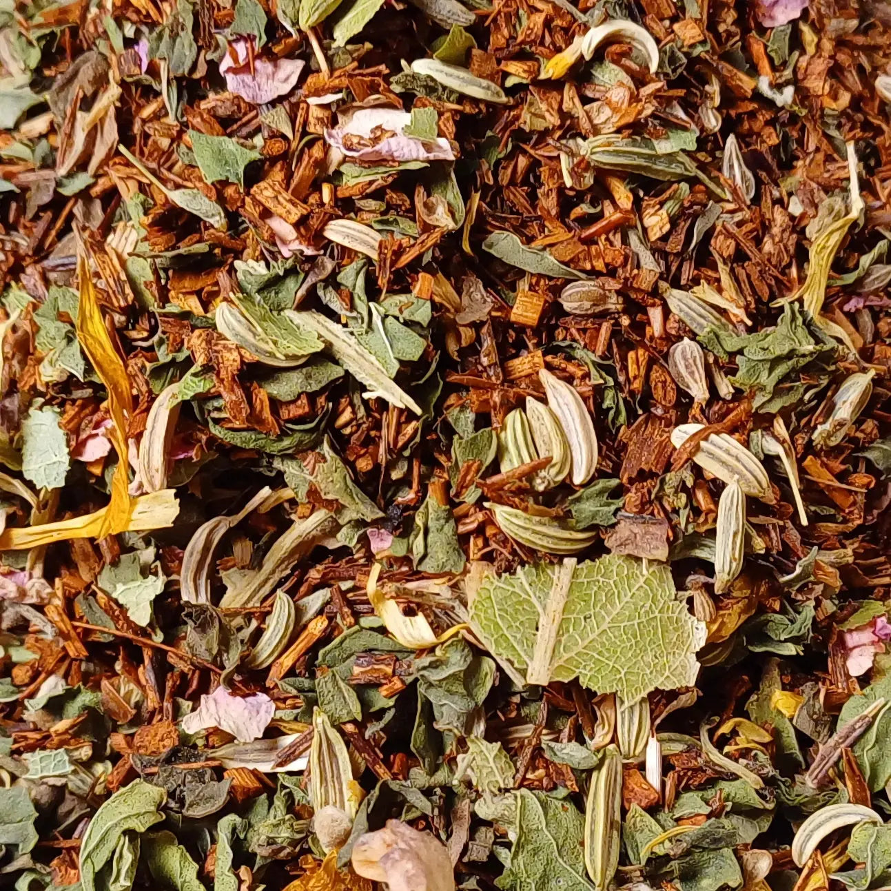 Tisane légère comme le vent BIO Thés & Epices Bio