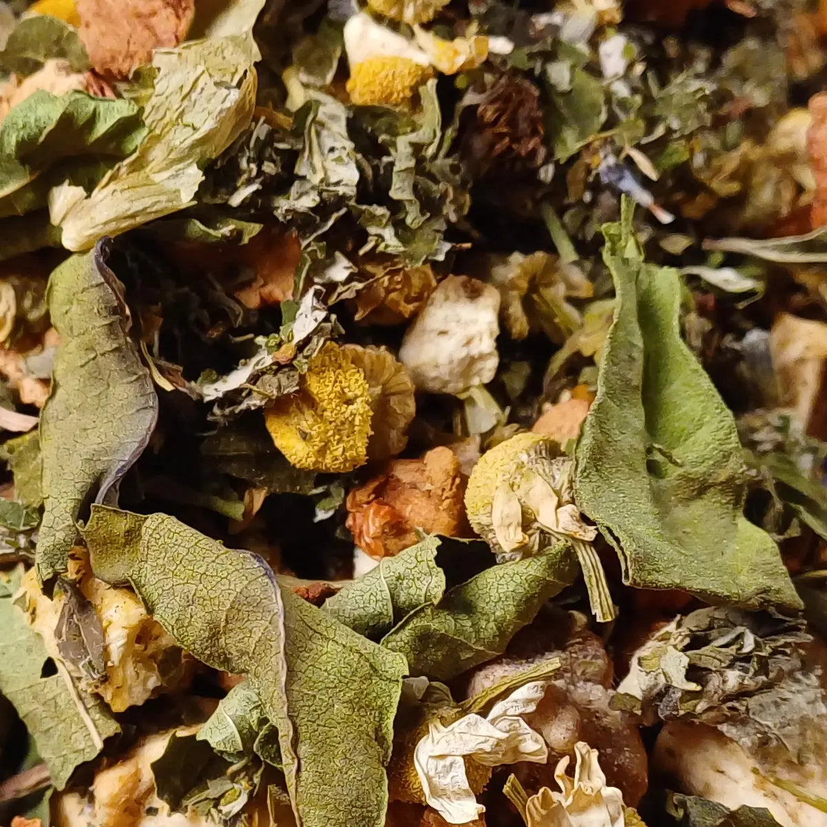 Tisane nice Dreams BIO Thés & Epices Bio